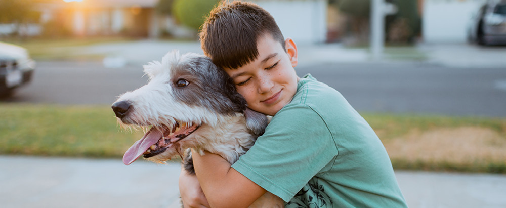 are cat allergies more common than dogs