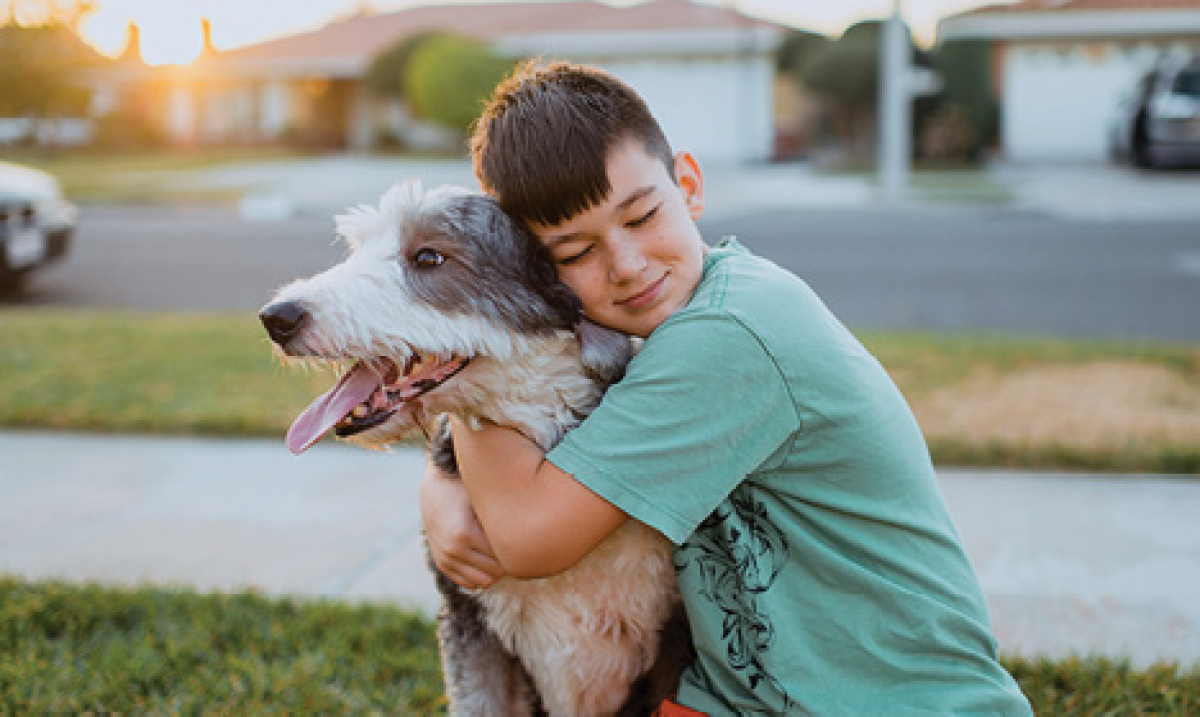 allergy injections for dogs