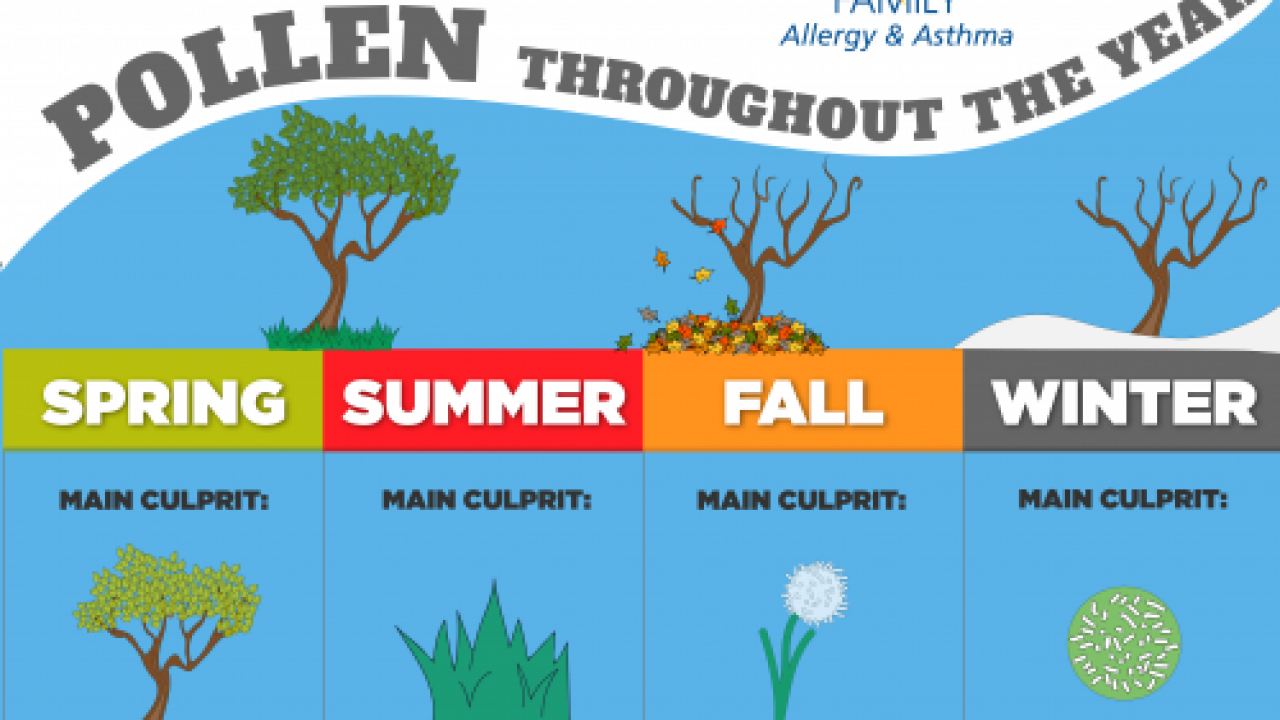 Pollen Count Chart