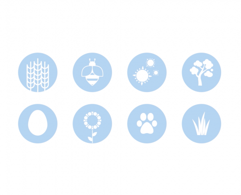 Grass, Insect, Pollen, Mold, Food, Pet Dander Allergens Tested for Icons